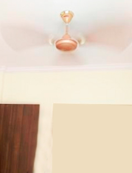 havells-fan-with-rod